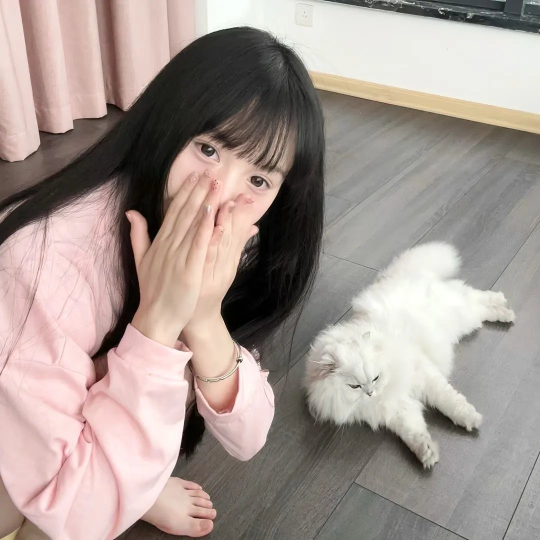 狮蚁